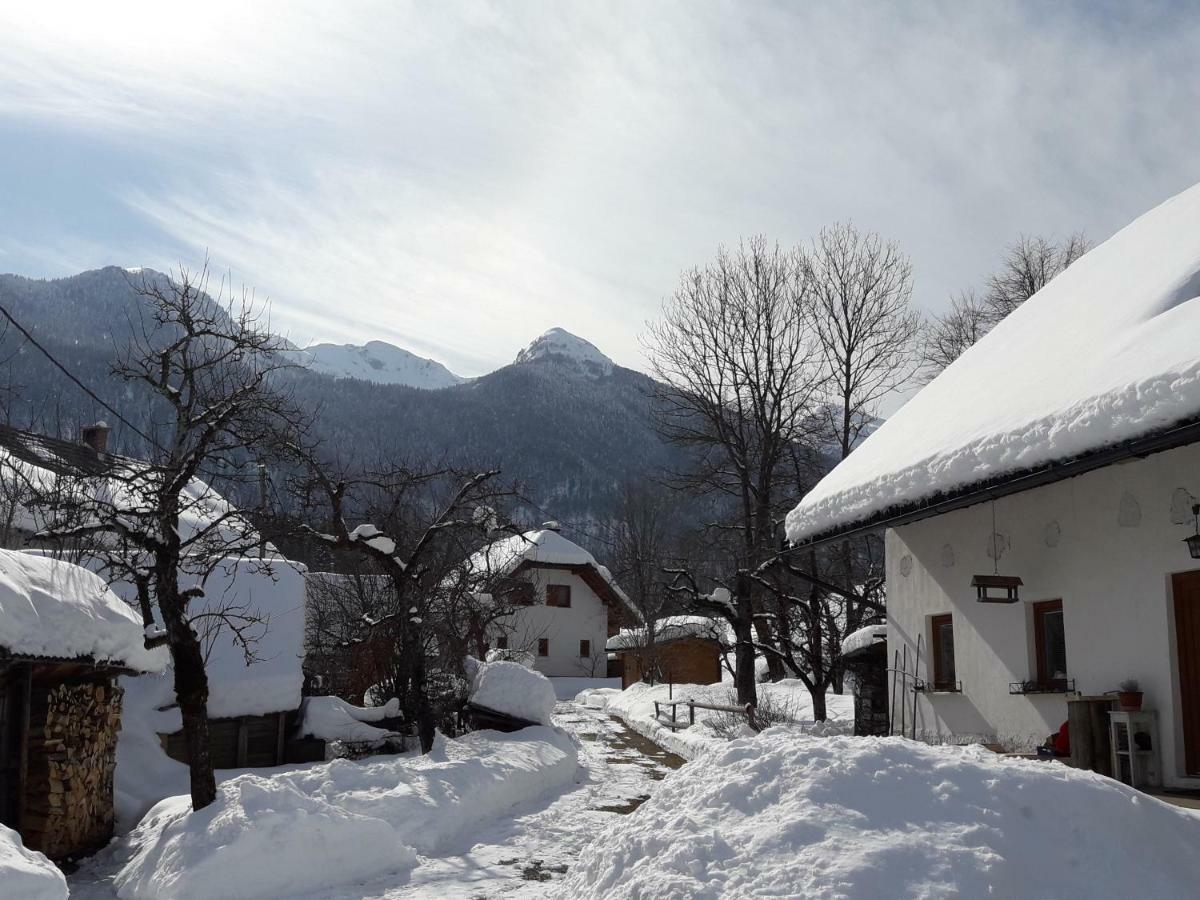 Ferienwohnung Snezak Bohinj Exterior foto