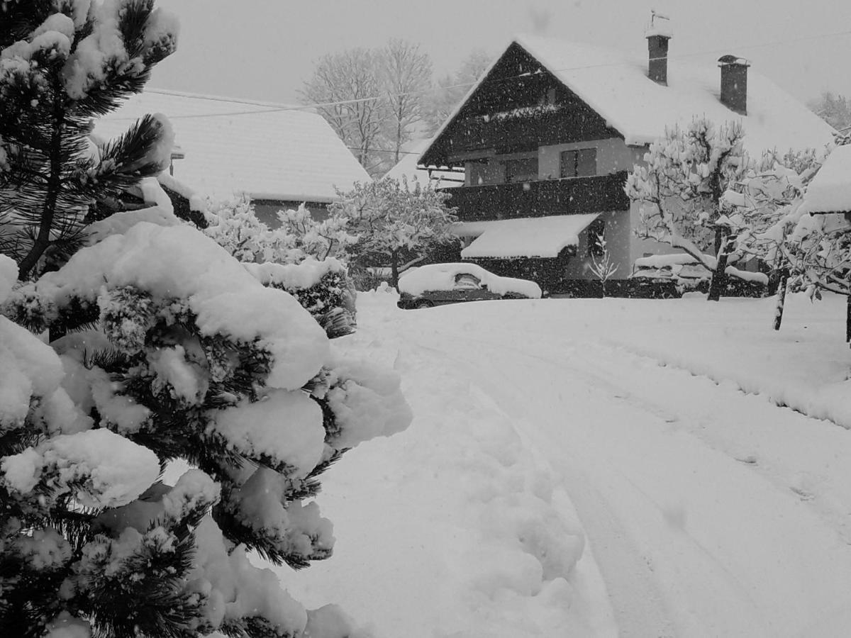 Ferienwohnung Snezak Bohinj Exterior foto